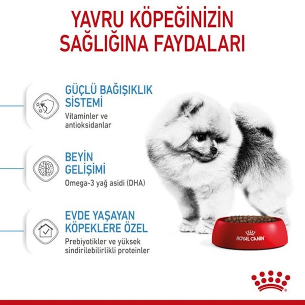 ROYAL CANİN DOG MINI INDOOR PUPPY 1,5 KG*6